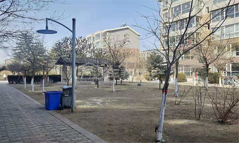 南茶坊小区图片