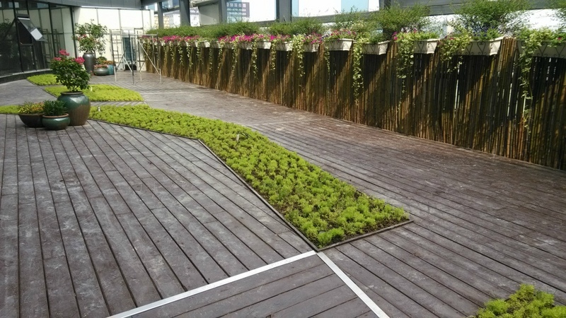 虹桥易园顶级创意园,可遇不可求的潜力地段,投