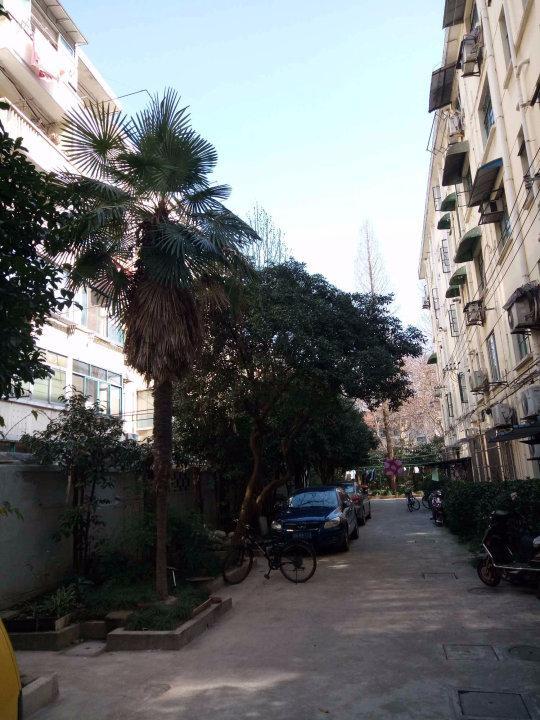 上海世家小区二手房房源图片