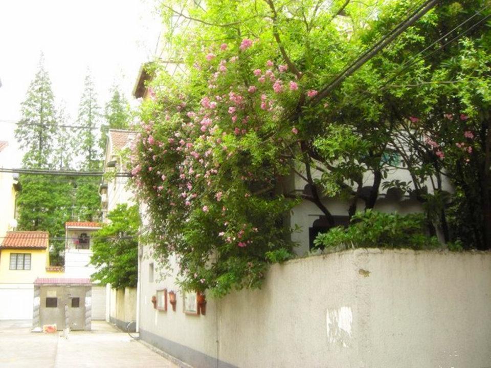 上海东湖路洋房二手房房源图片