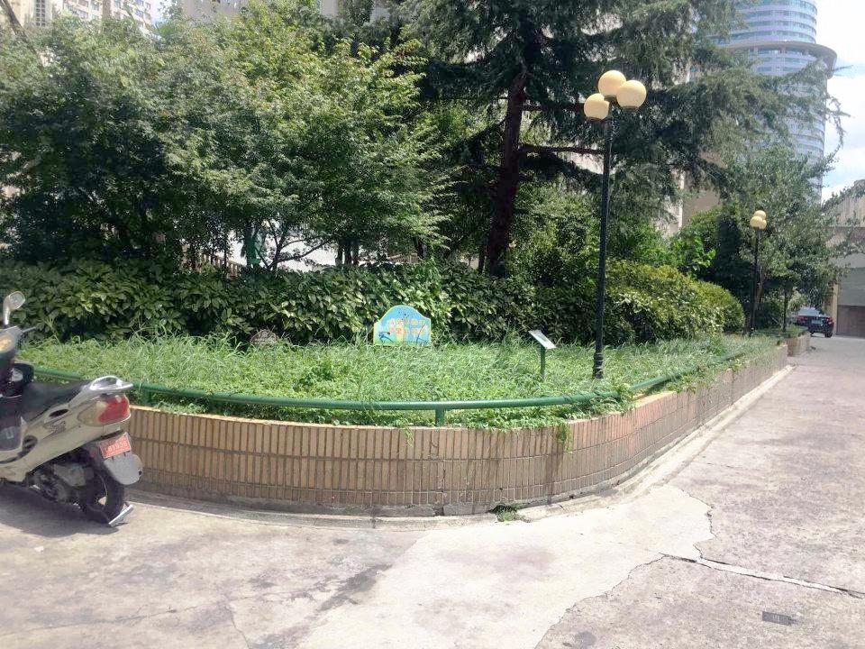 上海橡胶小区二手房房源图片