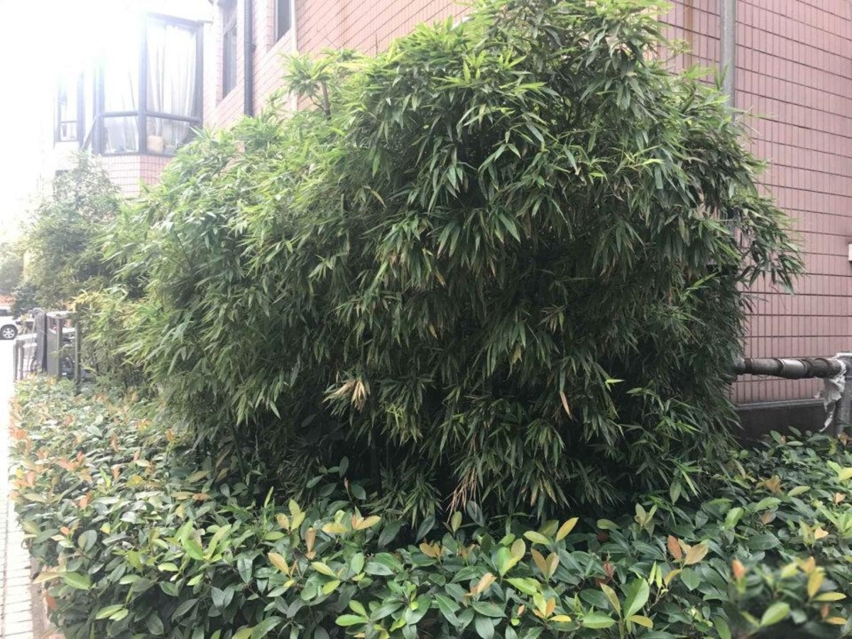 上海瑞金花园二手房房源图片