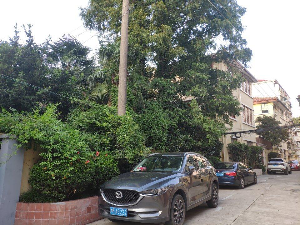 上海东湖路洋房二手房房源图片