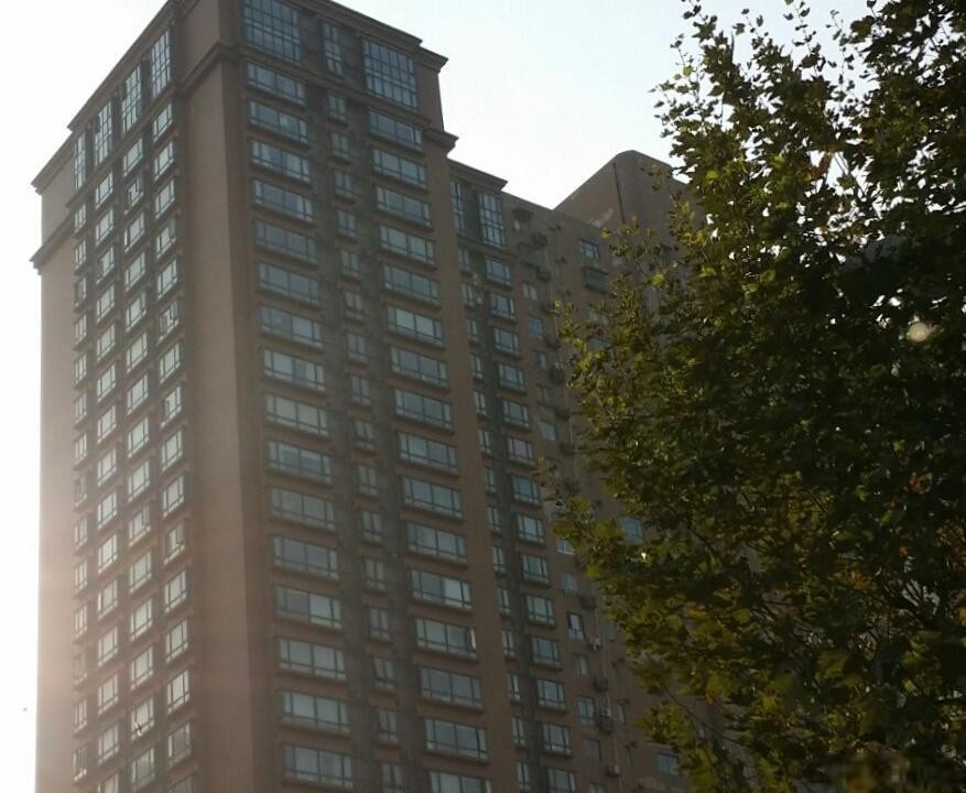 上海中心铂庭二手房房源图片