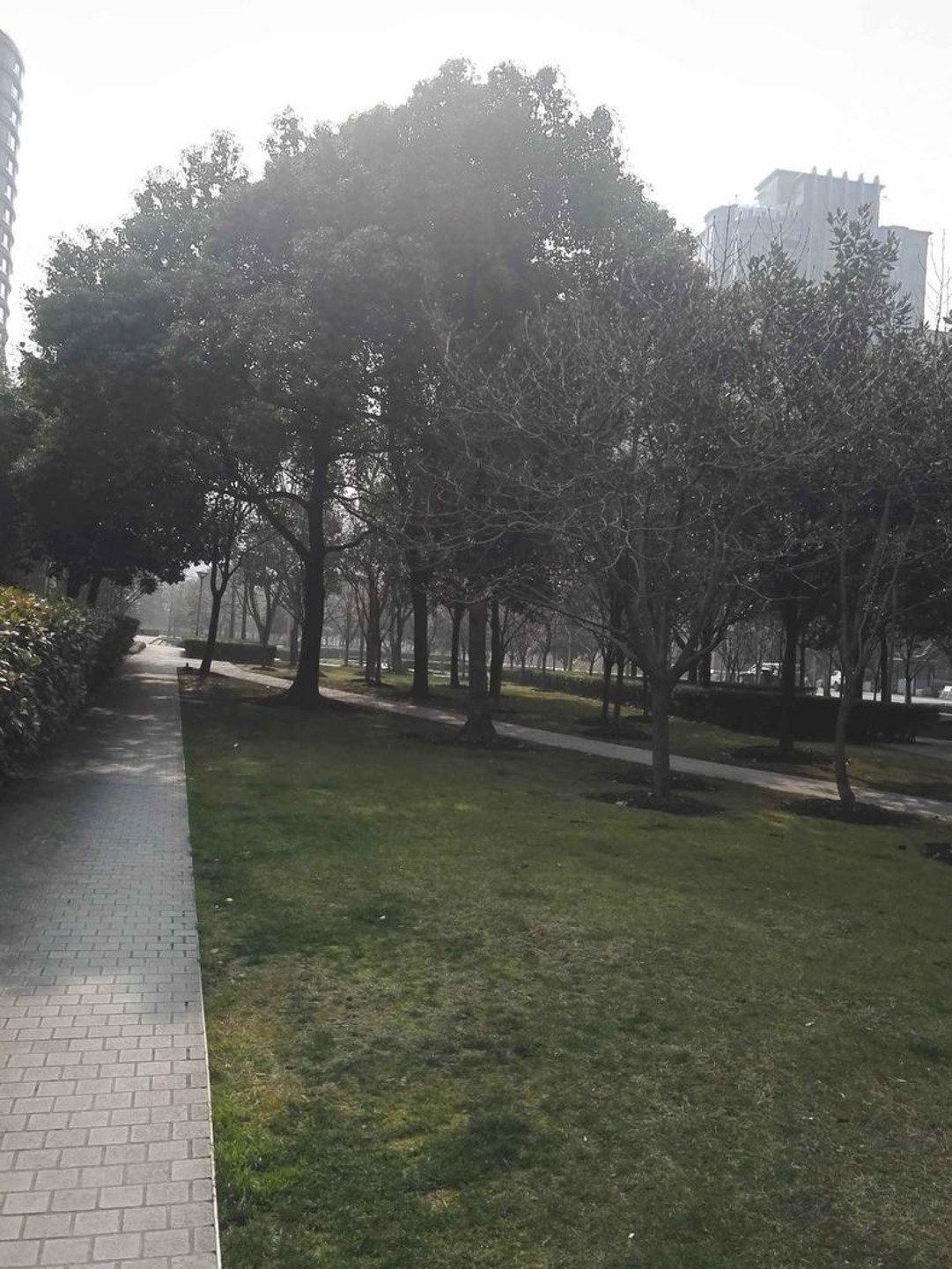 上海古北国际广场二手房房源图片