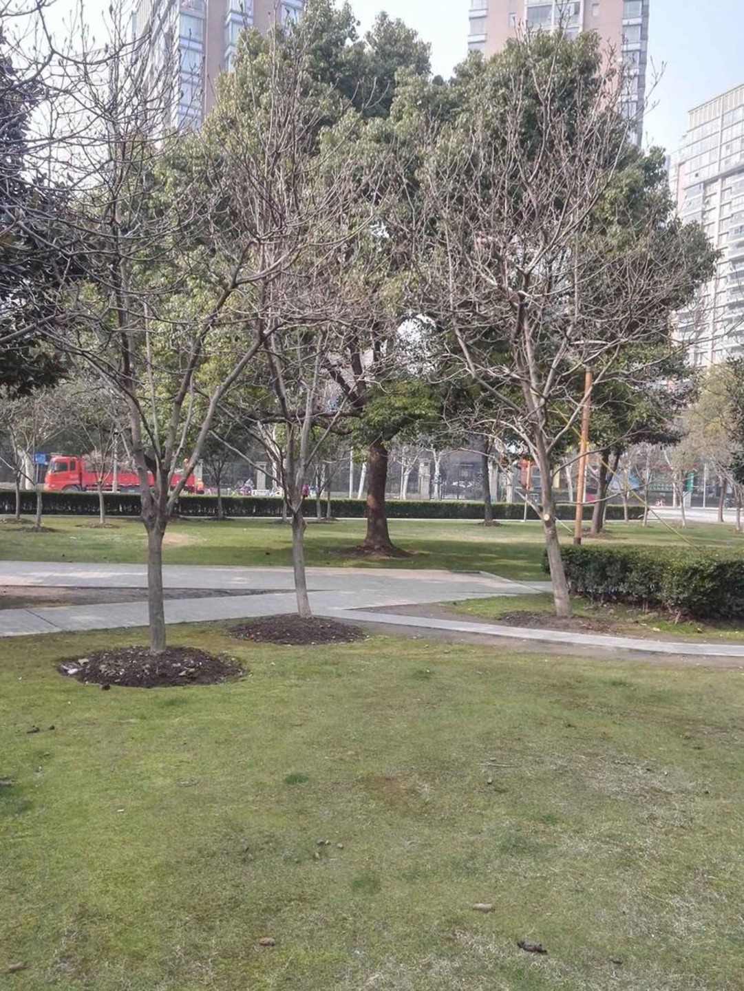 上海古北国际广场二手房房源图片