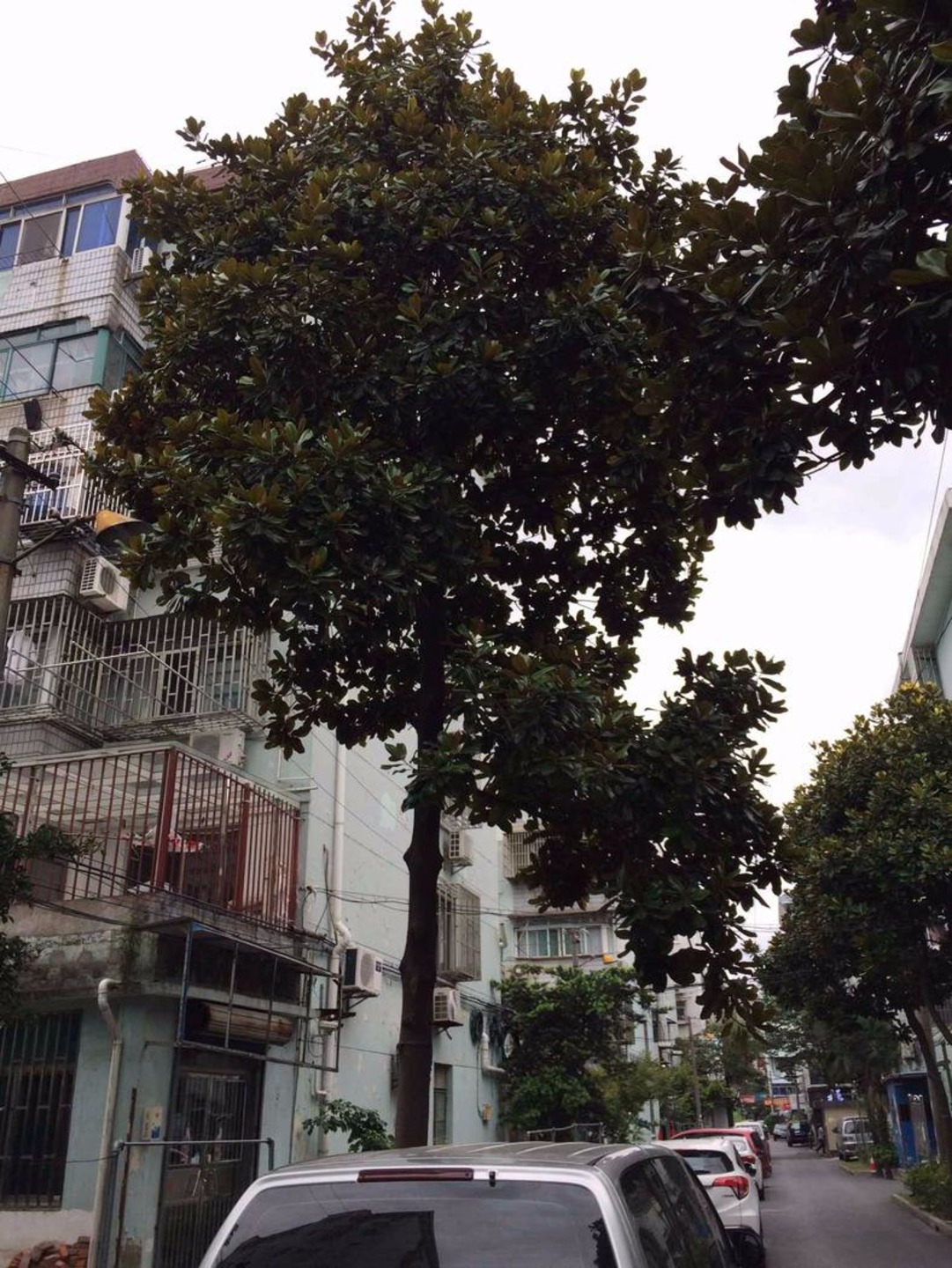 上海石皮路89弄小区二手房房源图片
