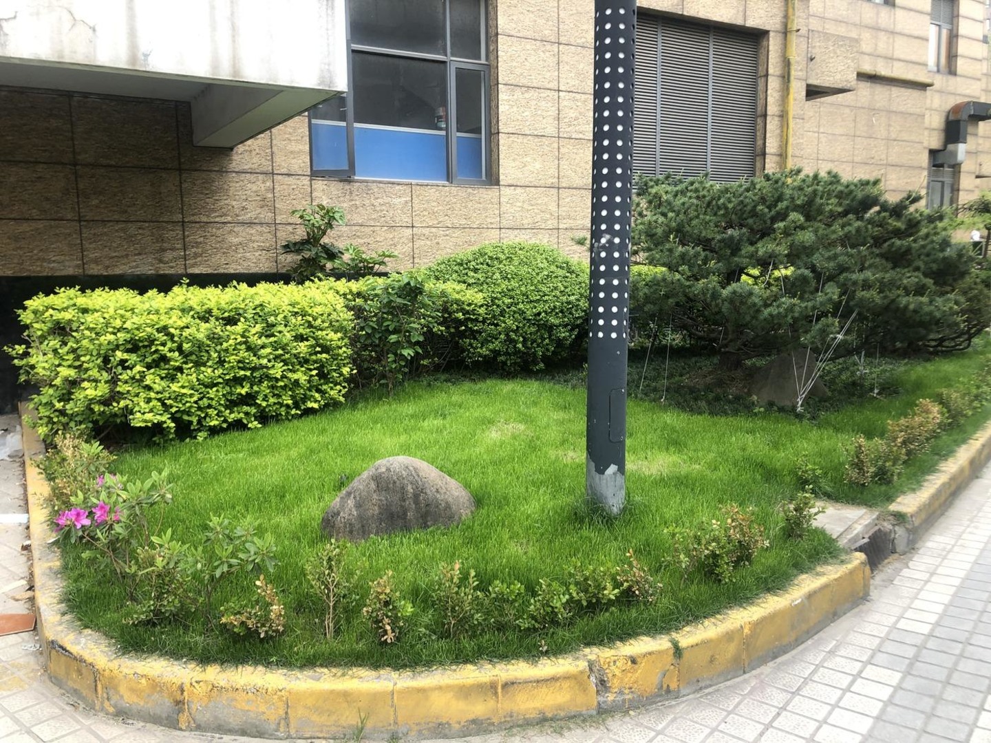 上海巴黎时韵二手房房源图片