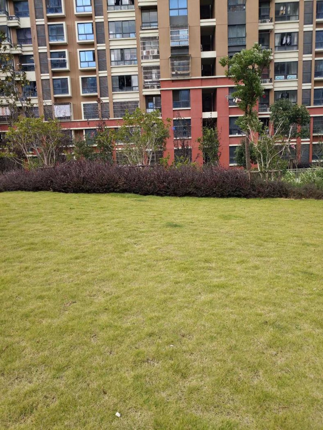 上海申城佳苑二期C块二手房房源图片