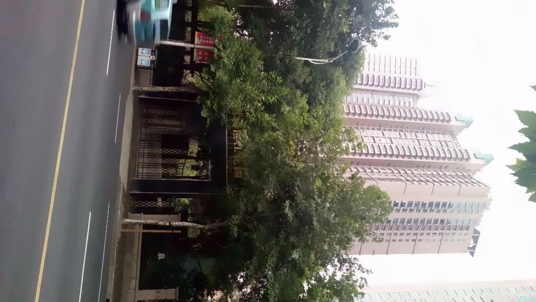 上海世茂滨江花园(南区)二手房房源图片