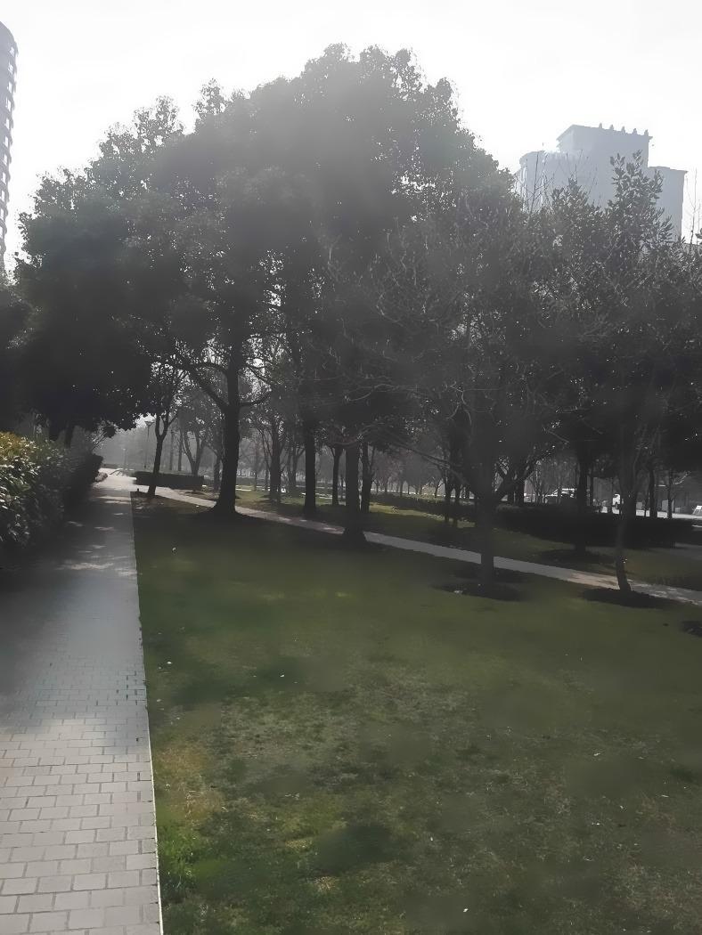 上海古北国际广场二手房房源图片