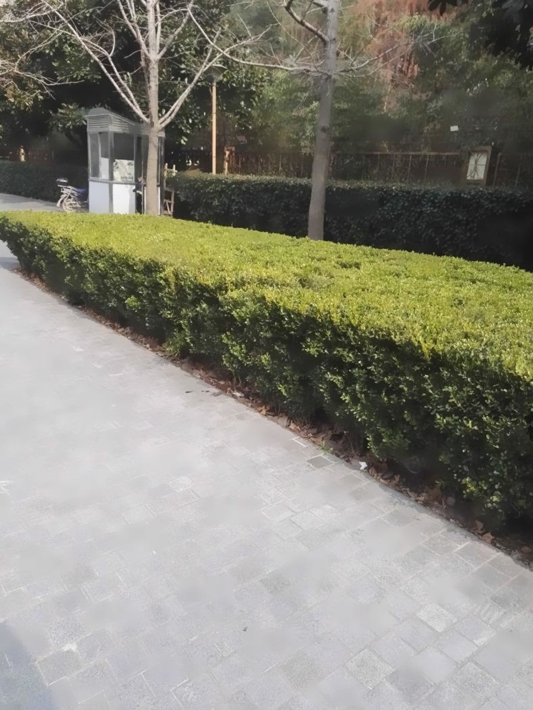 上海古北国际广场二手房房源图片