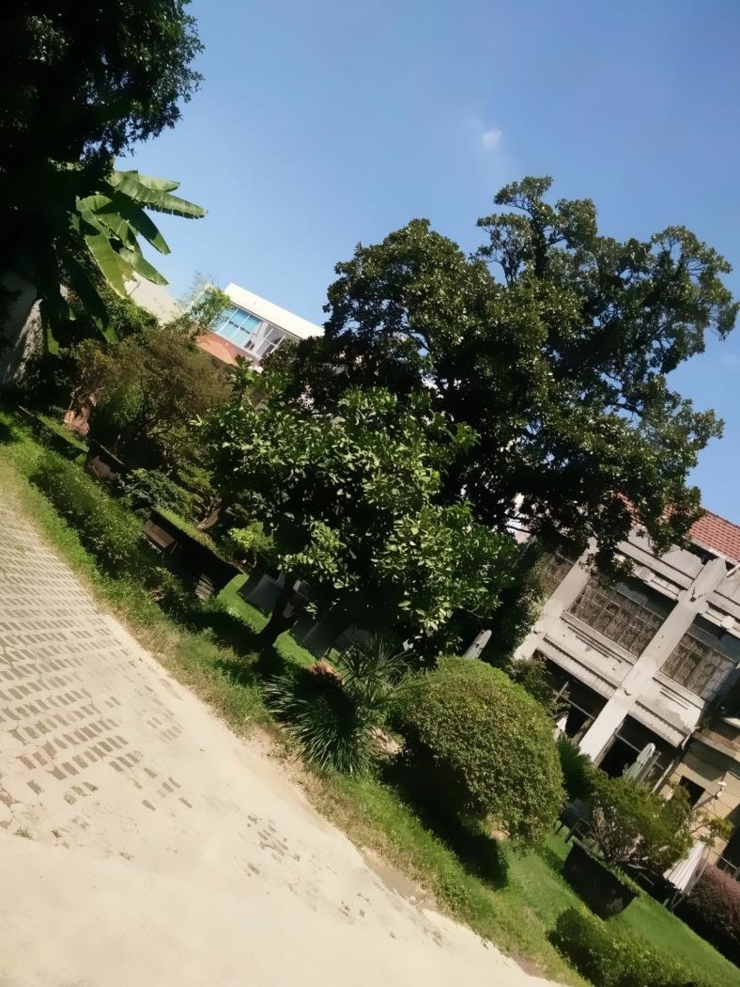 上海向阳小区二手房房源图片