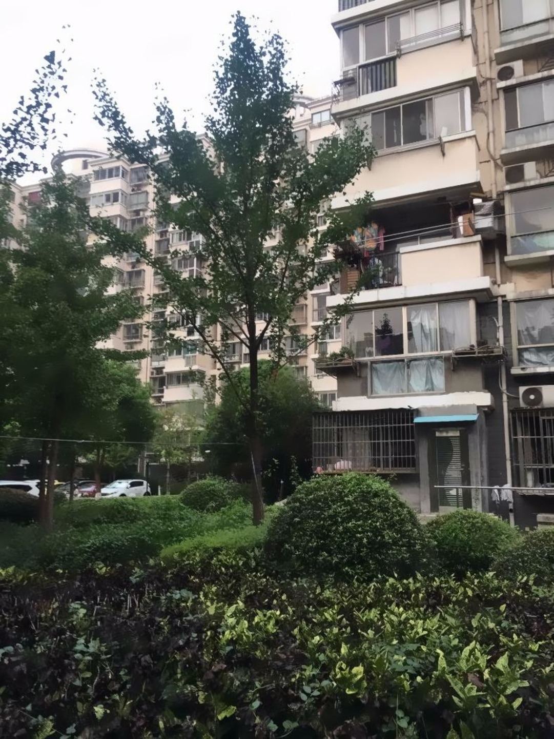 上海绿色丽园(667弄)二手房房源图片