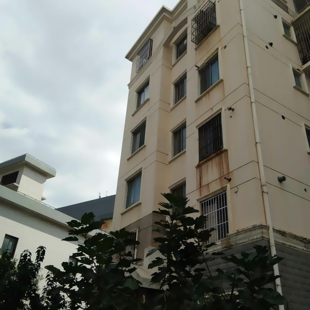 上海绿色丽园(535弄)二手房房源图片