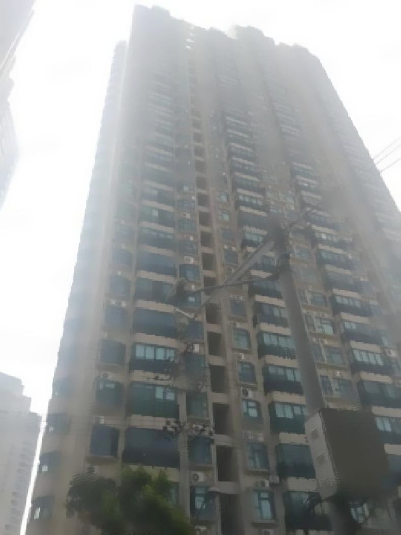 上海丽都大厦二手房房源图片