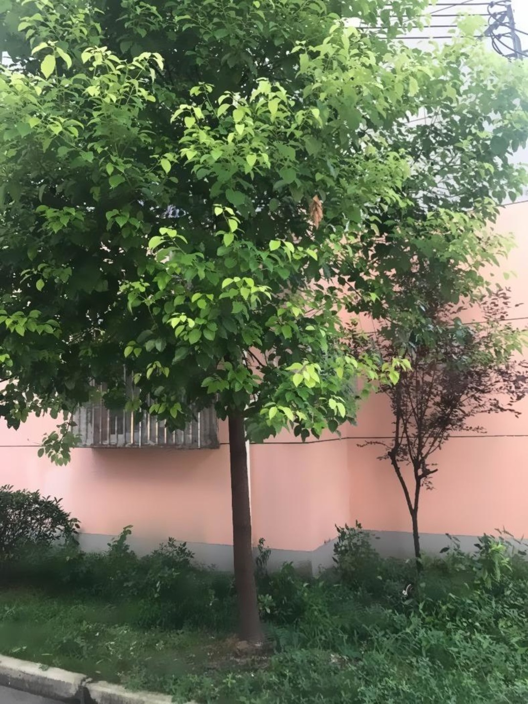 上海广顺小区二手房房源图片
