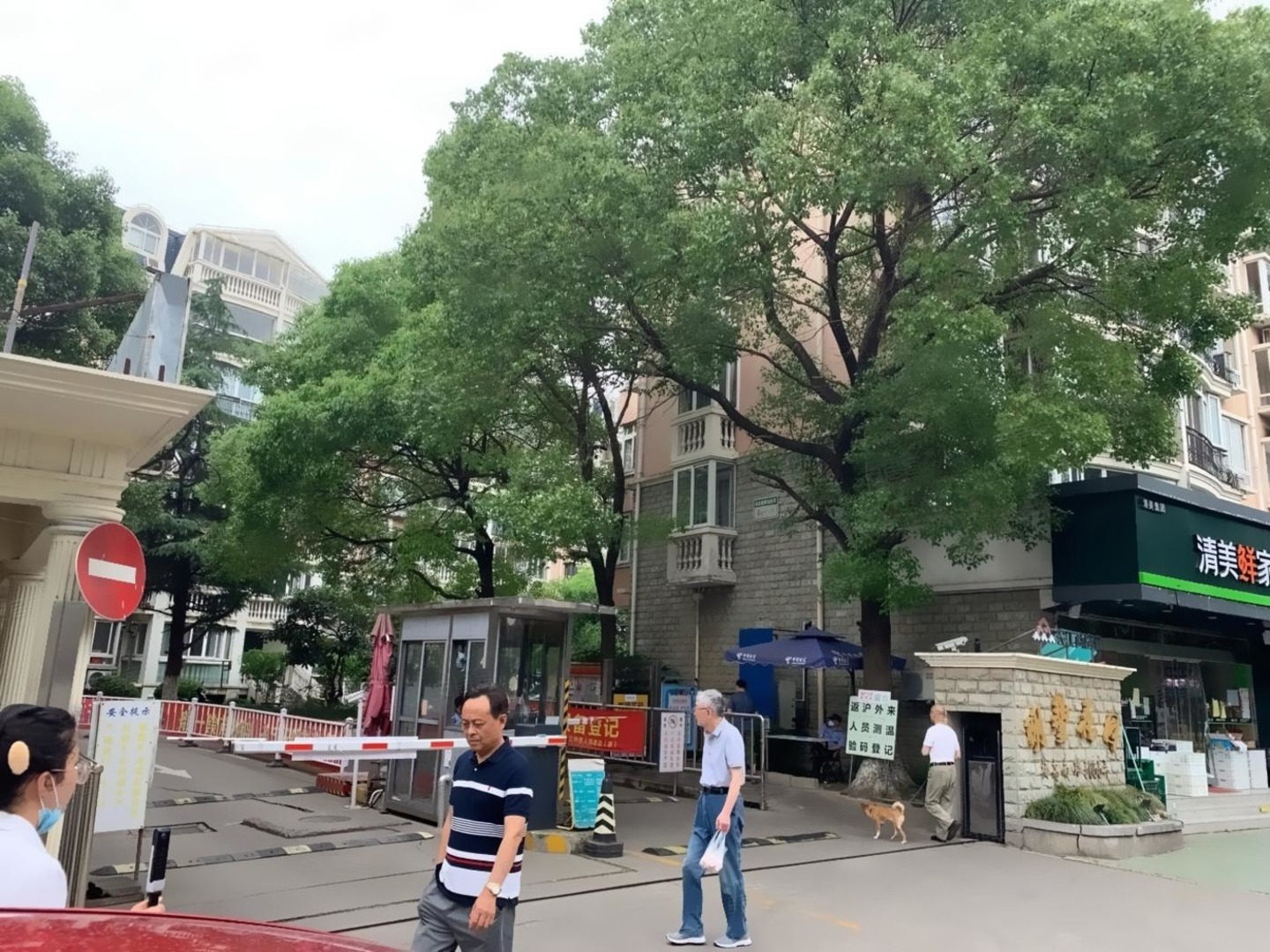 上海三林路二手房房源图片