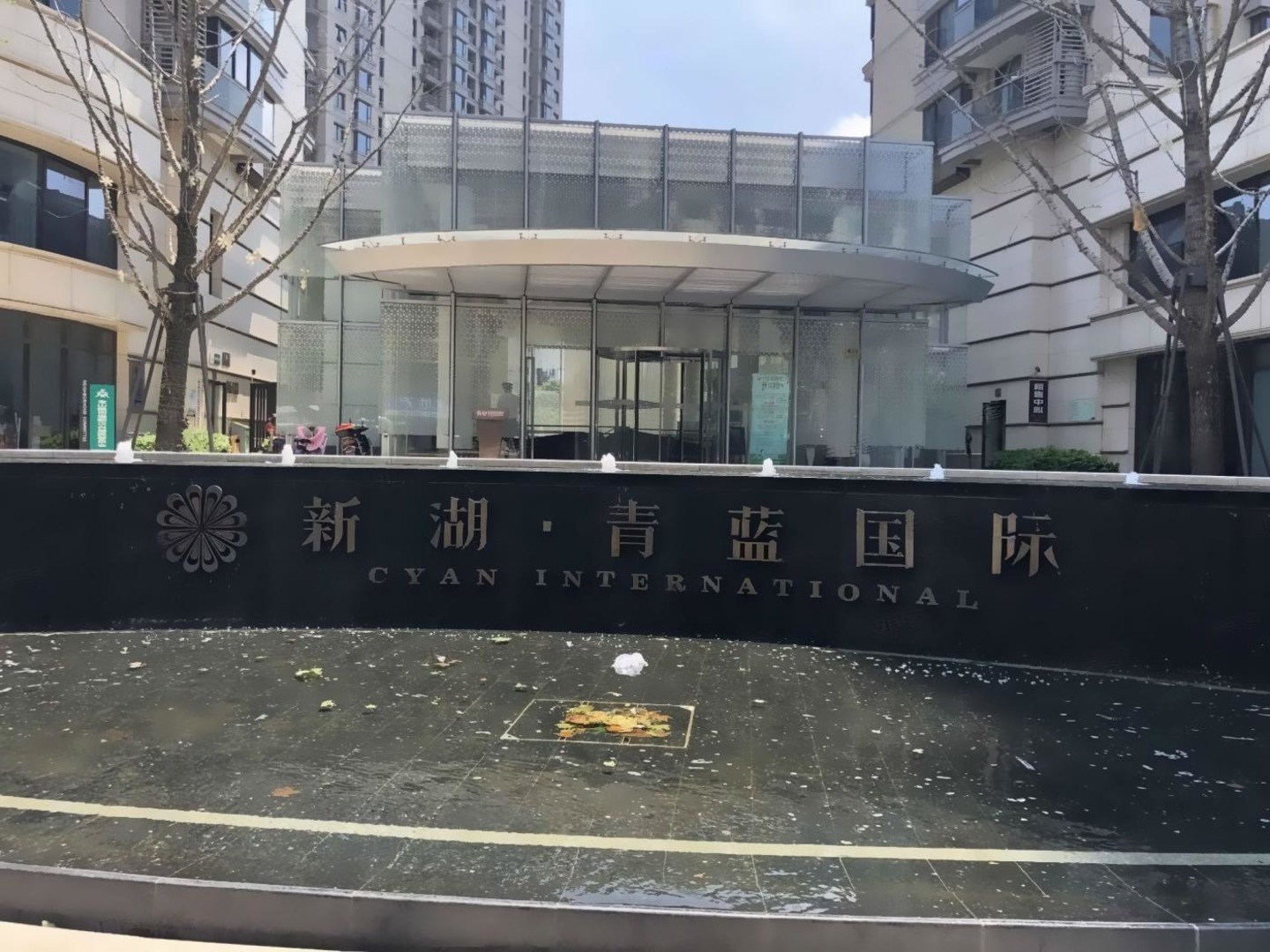 上海新湖青蓝国际二手房房源图片