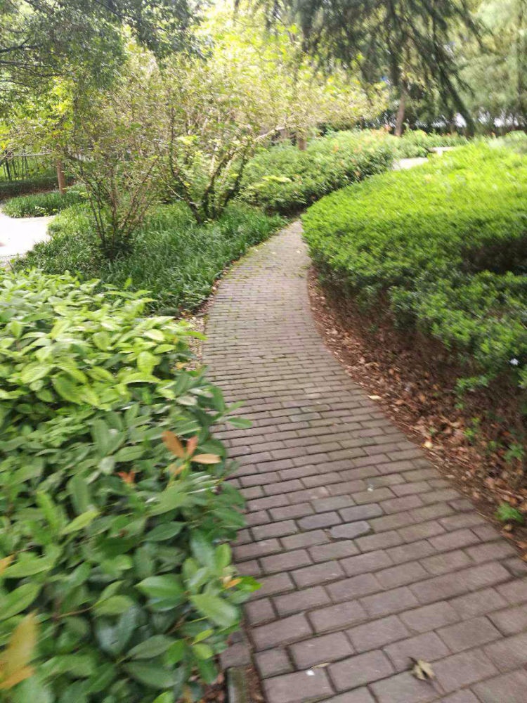 上海康德公寓二手房房源图片
