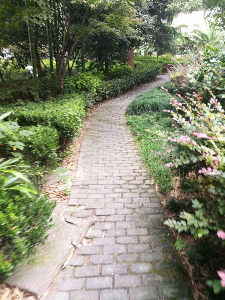 上海康德公寓二手房房源图片