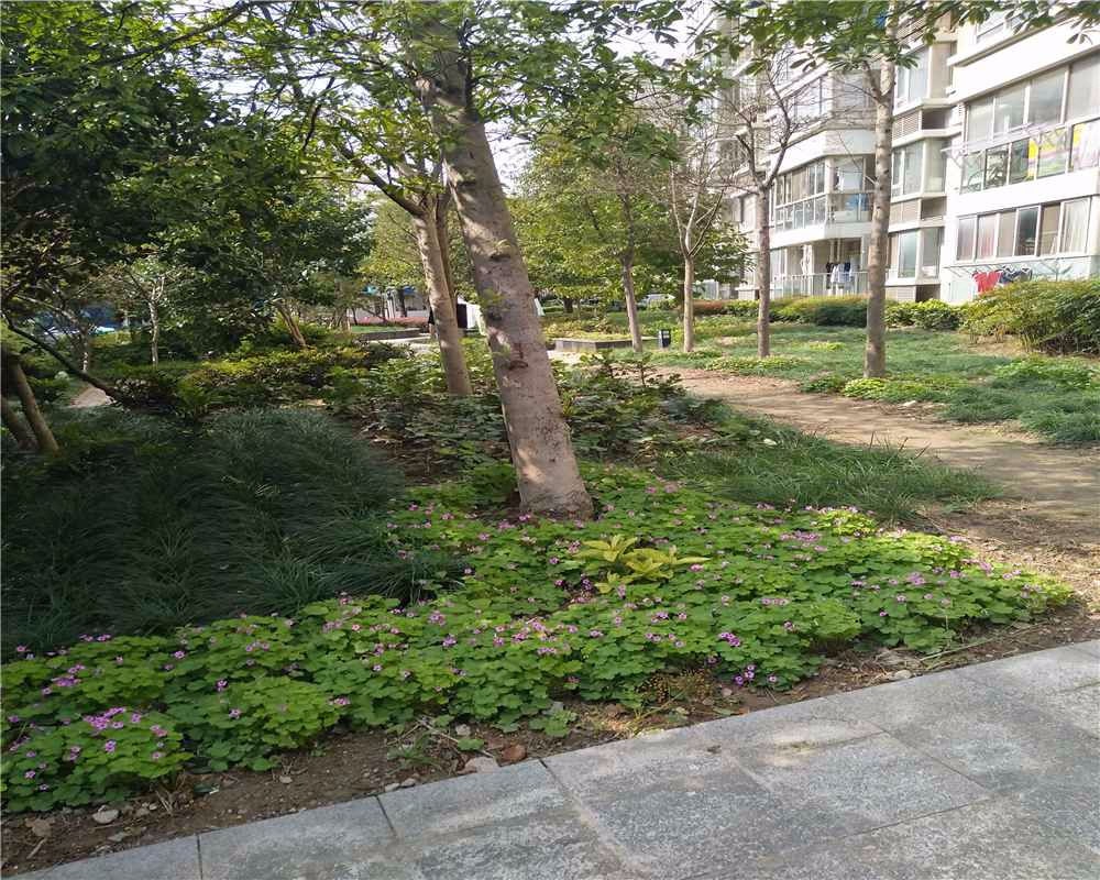 上海东方城市华庭二手房房源图片
