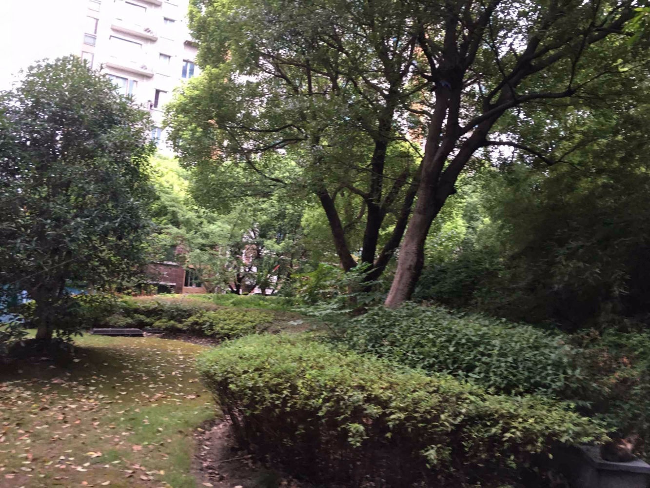 上海阳城世家苑二手房房源图片