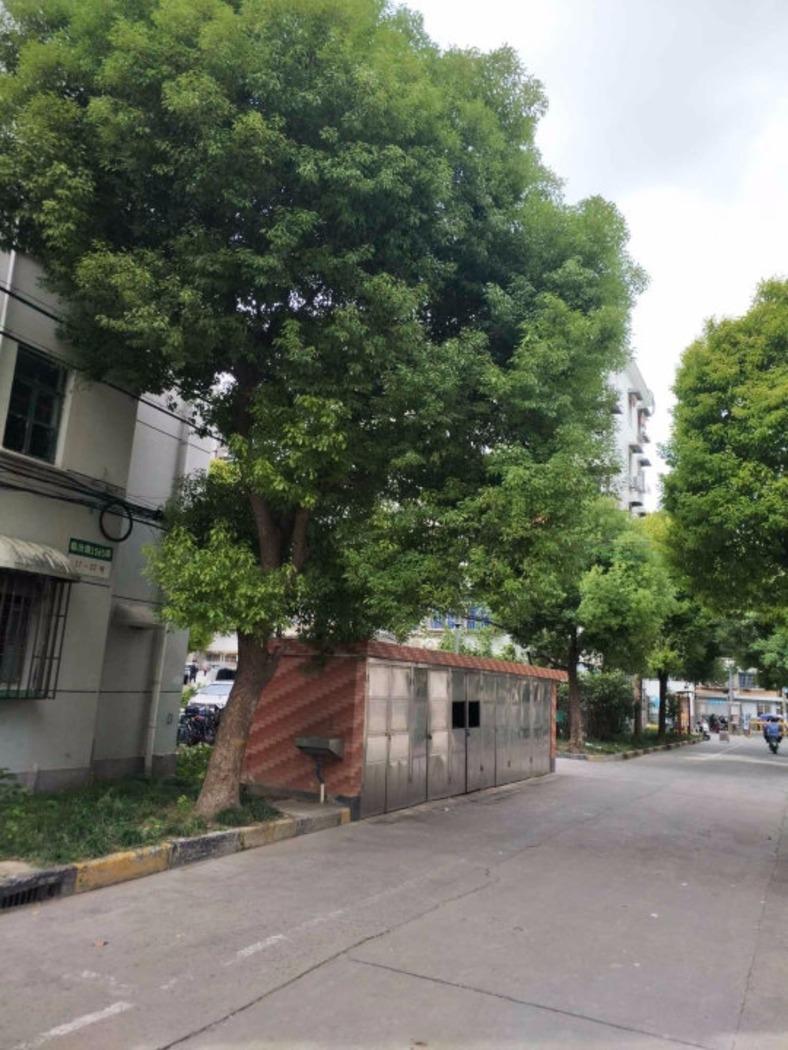 上海临汾路1565弄小区二手房房源图片
