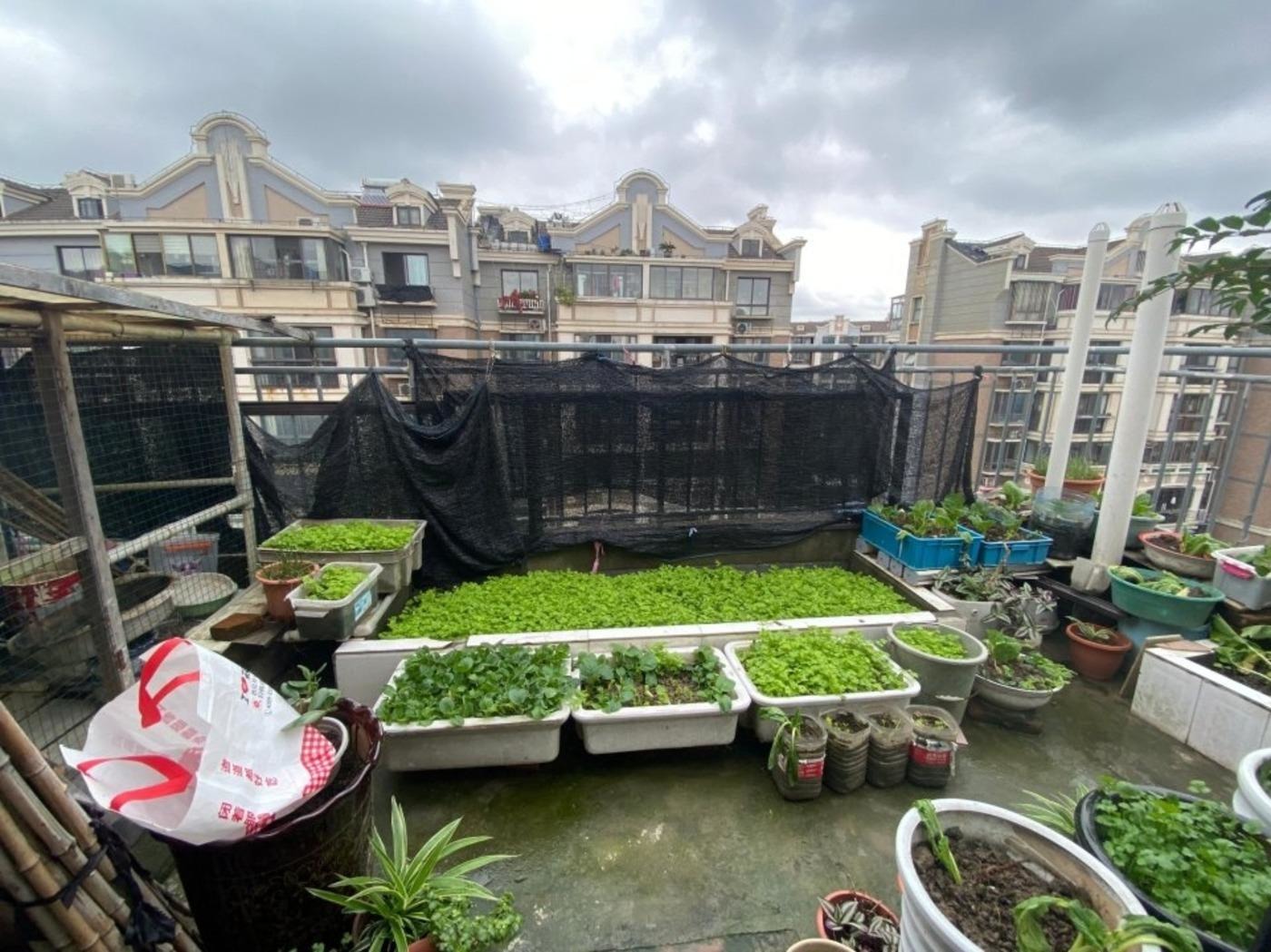 上海绿地金卫新家园(2208弄)二手房房源图片