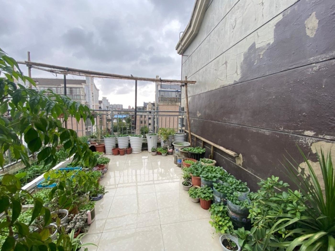 上海绿地金卫新家园(2208弄)二手房房源图片