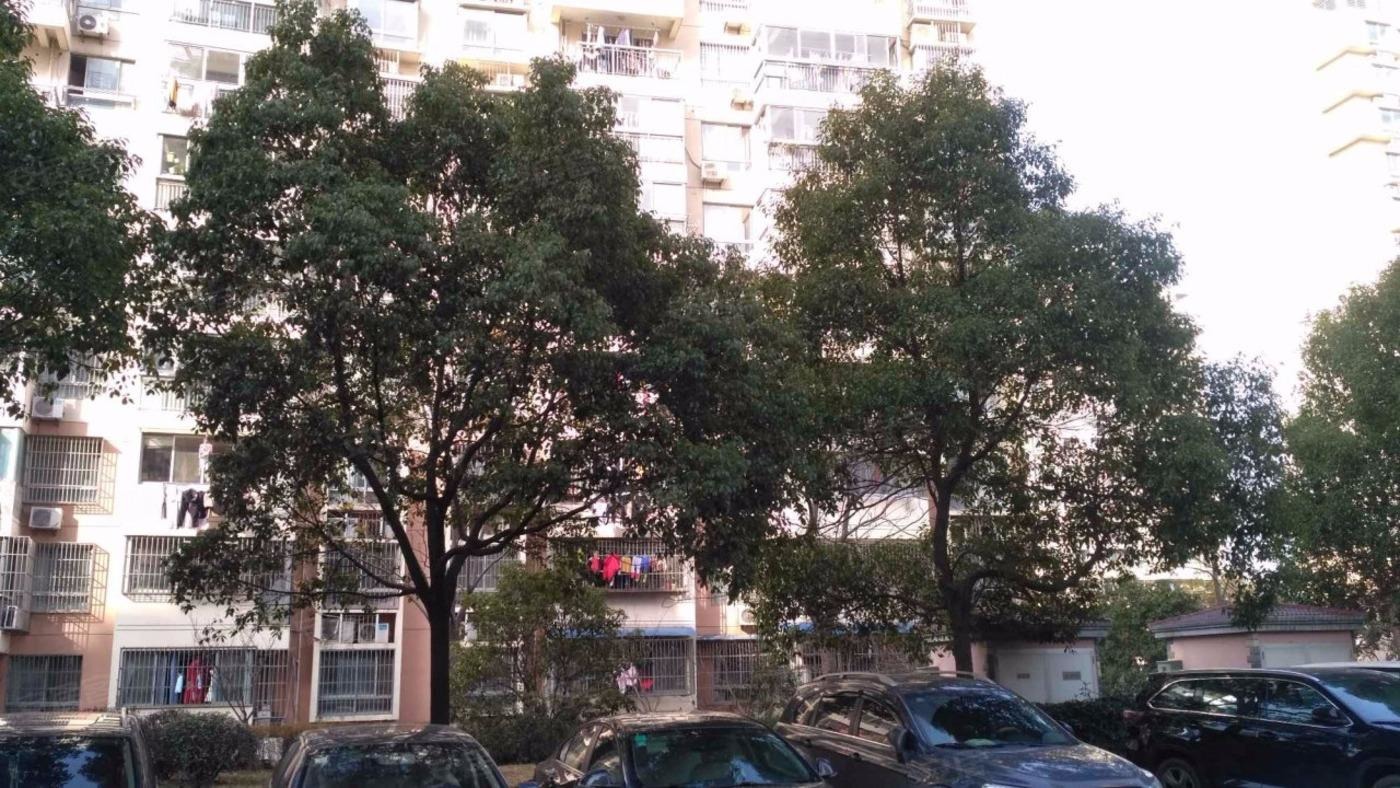 上海爱庐世纪新苑二手房房源图片