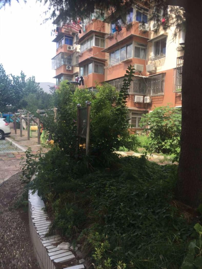 上海芳华路229弄小区二手房房源图片