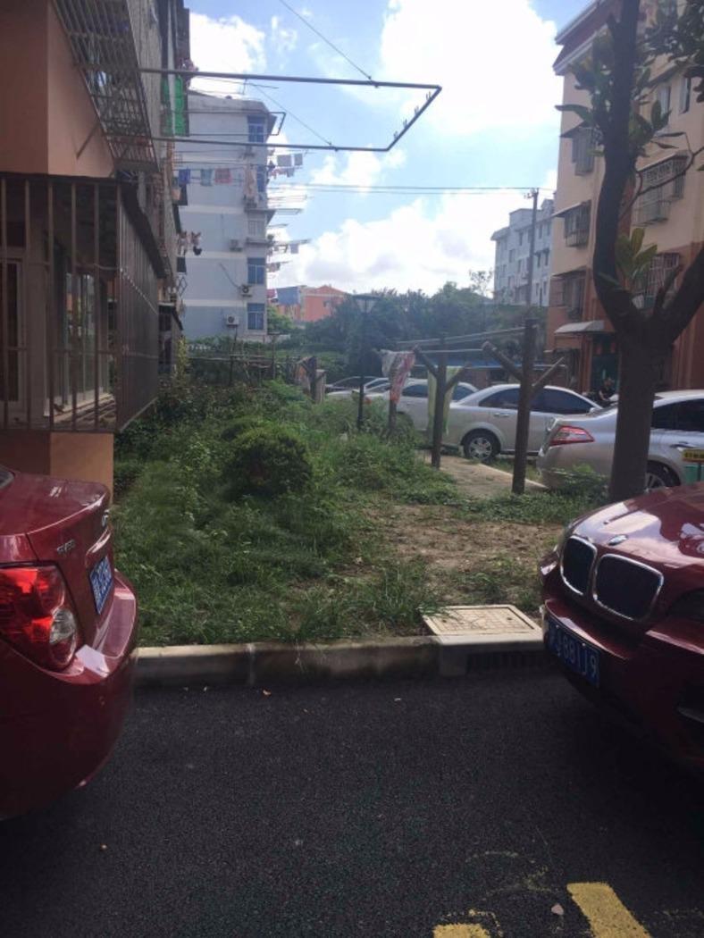上海芳华路229弄小区二手房房源图片