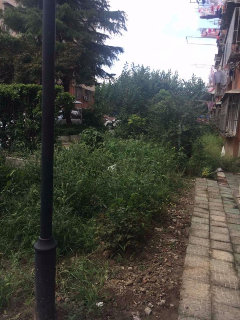 上海芳华路229弄小区二手房房源图片