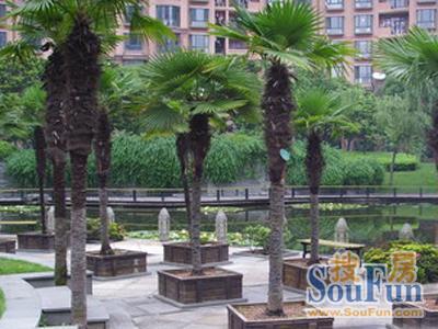 上海香榭丽花园二手房房源图片