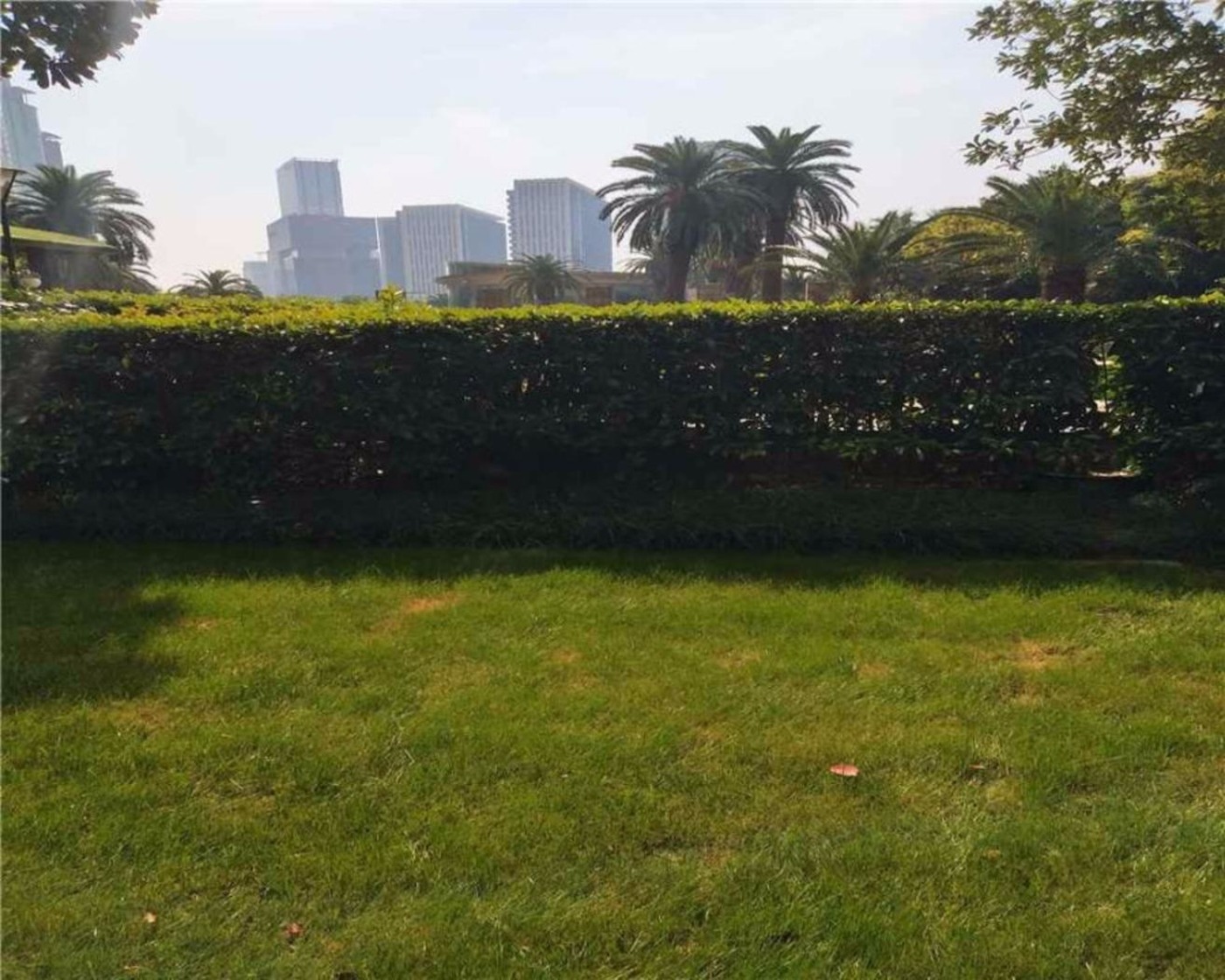 上海世茂滨江花园(北区)二手房房源图片