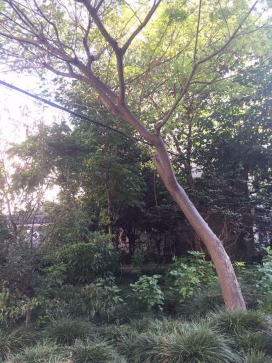 上海泾东小区二手房房源图片