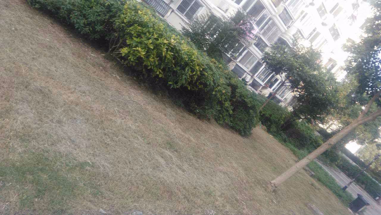 上海明丰公寓二手房房源图片