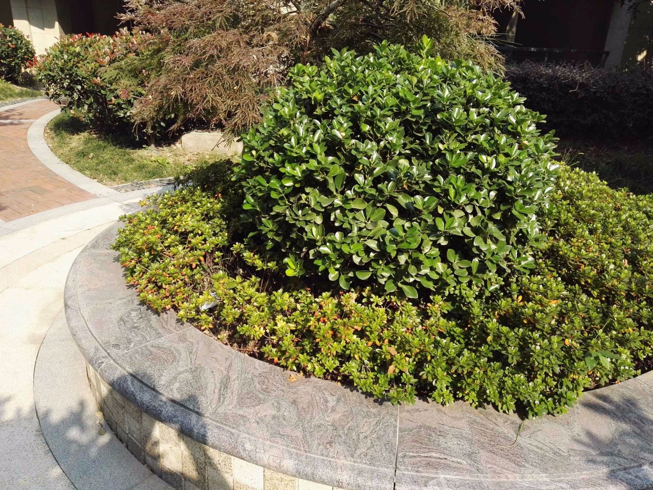 上海合生时代锦苑(合生前滩1号)二手房房源图片