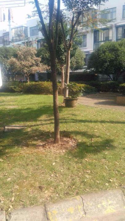 上海檀香花苑(公寓住宅)二手房房源图片