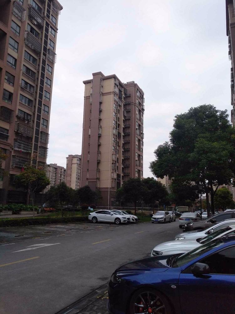 上海东锦苑二手房房源图片
