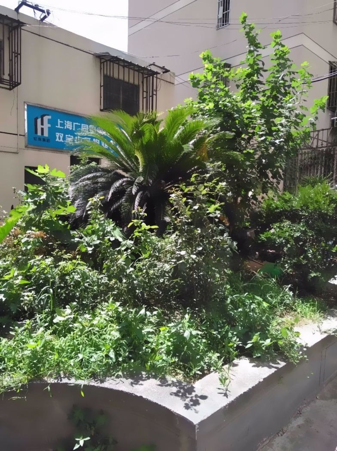 上海双宝小区二手房房源图片