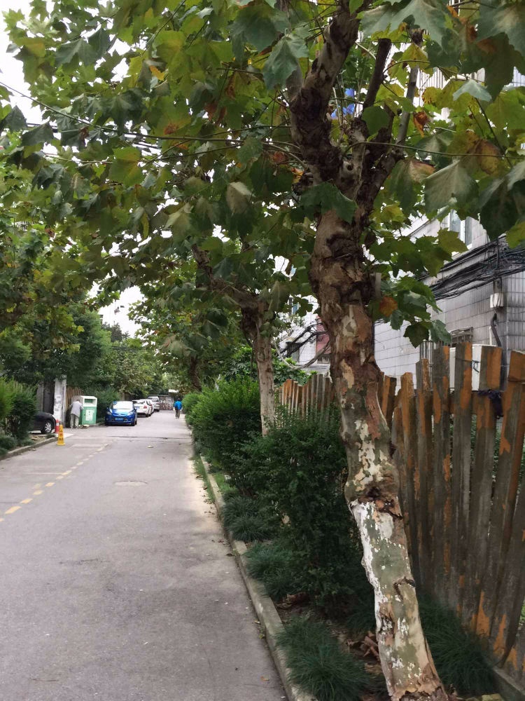 上海华高一村二手房房源图片