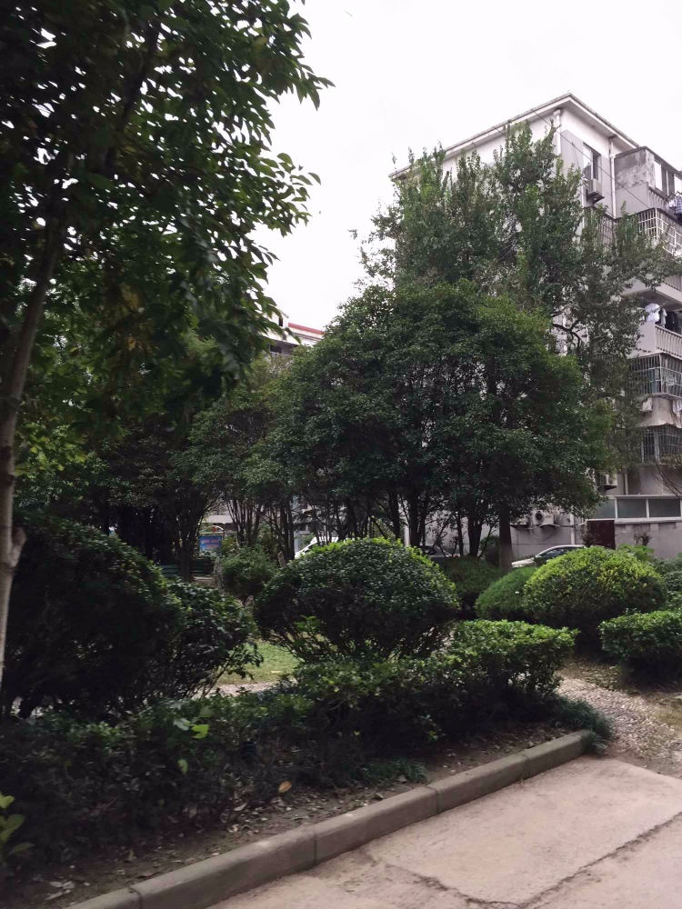 上海华高一村二手房房源图片