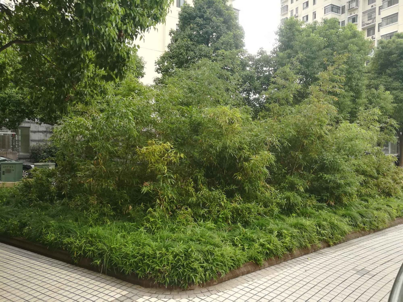 上海松云水苑(公寓住宅)二手房房源图片