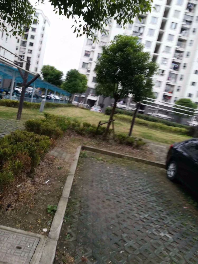 上海新高苑雅园二手房房源图片