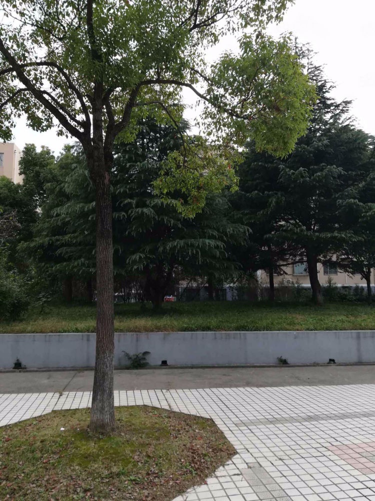 上海新高苑雅园二手房房源图片