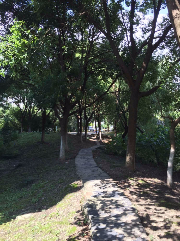 上海宜嘉苑二手房房源图片