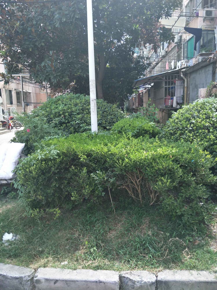 上海泉东小区二手房房源图片