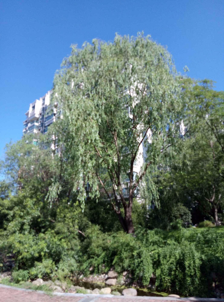 上海三湘四季花城(一期)二手房房源图片